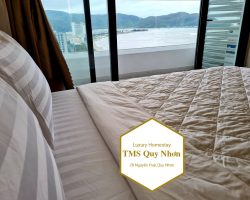 Homestay-Quy-Nhơn-TMS-luxury-1717-3
